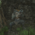 "Grave Robber - Musket" icon